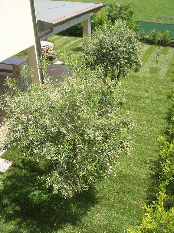 Suni B&B S'Ena מראה חיצוני תמונה